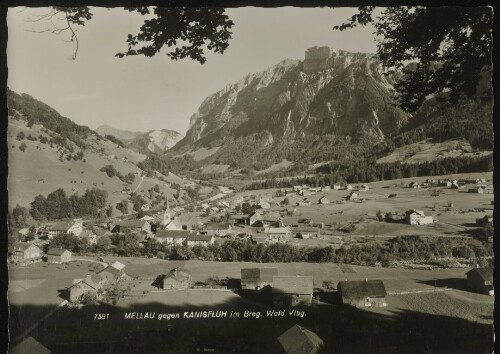 Mellau gegen Kanisfluh im Breg. Wald Vlbg.