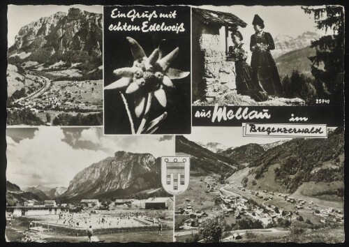 Ein Gruß mit echtem Edelweiß aus Mellau im Bregenzerwald