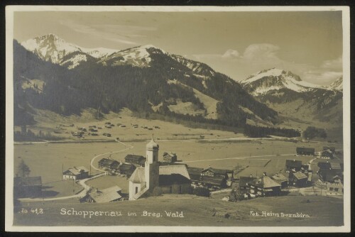 Schoppernau im Breg. Wald