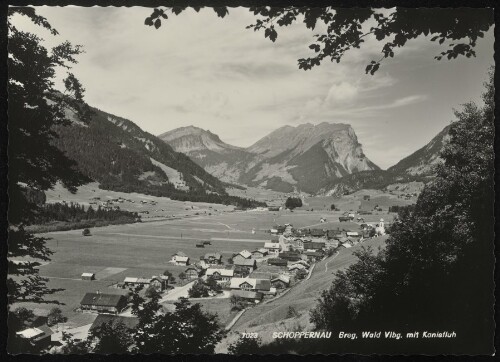 Schoppernau Breg. Wald Vlbg. mit Kanisfluh