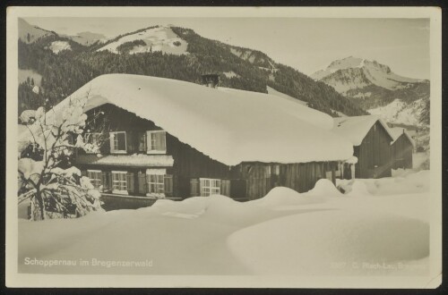 Schoppernau im Bregenzerwald