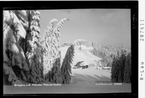 Bregenz am Bodensee Pfänder Pfänderdohle : [Pfänder mit Gasthaus Pfänderdohle]