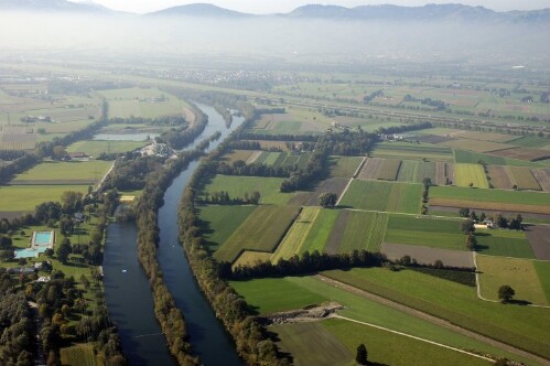 [Hohenems - Rheinauen, Alter Rhein]