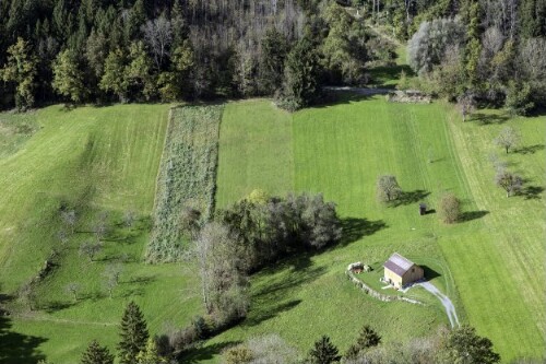 [Satteins - Bünt, Rankweiler Straße, Landwirtschaftshof]