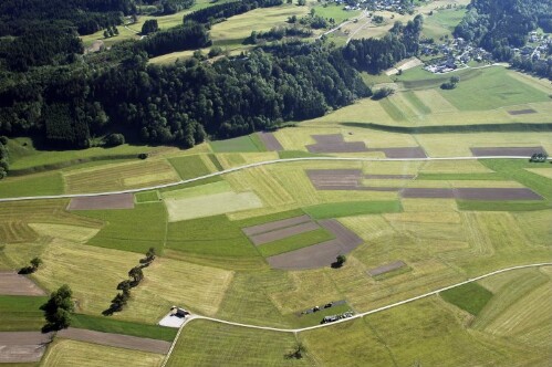 [Schlins - Bildacker, Landwirtschaftshöfe]