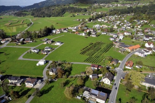 [Schlins - Frommengärsch, Blick Rönsberg]