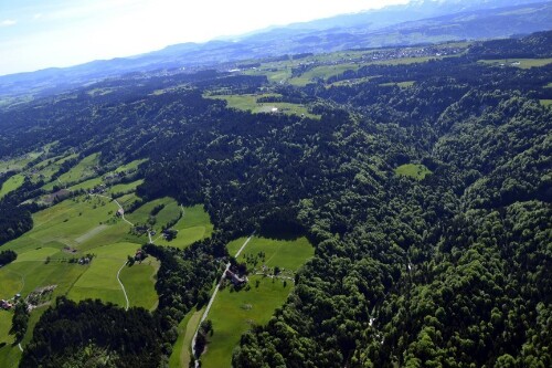 [Deutschland - Hohenweiler, Rohrachschlucht]