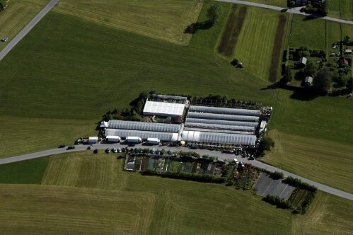 [Bürs - Blumen Frick]