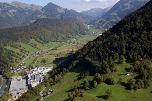 [Reuthe, Mayr Melnhof Holz (ehm. Kaufmann)]