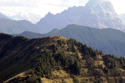 [Schoppernau, Lawinenverbauung]