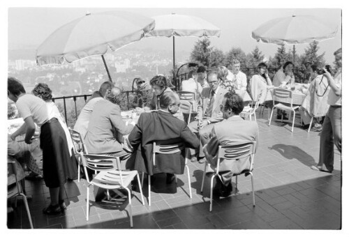 Bodenseekonferenz am Gebhardsberg, Landeshauptmann