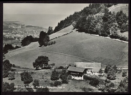 Gasthaus Traube, Fluh bei Bregenz 750 m