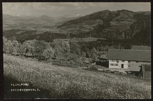 [Bregenz] Fluh : Bregenzerwald