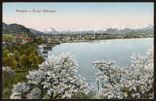 Bregenz a. B. zur Blütezeit