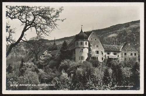 Bregenz a/B. Altes Schloss