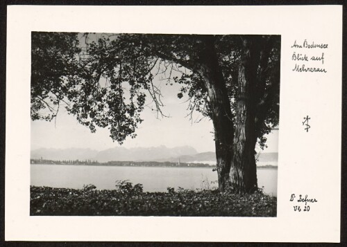 [Bregenz] Am Bodensee : Blick auf Mehrerau : AD