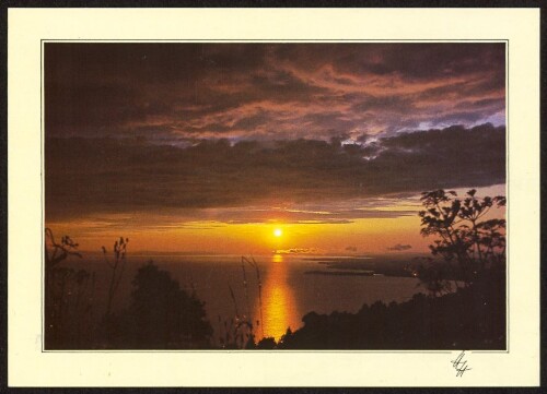 [Bodensee] : [Blick vom Pfänder bei Bregenz ...]