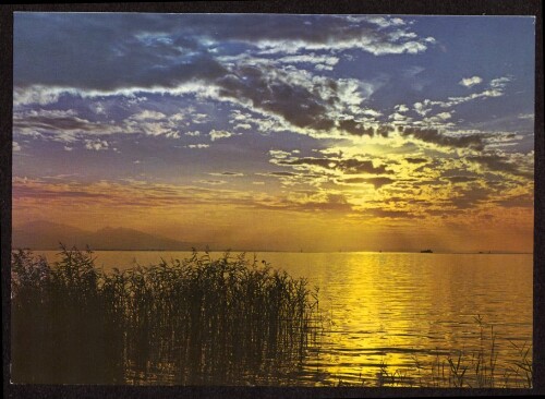 [Bregenz am Bodensee] : [Abendstimmung am Bodenseeufer bei Lochau - Hörbranz ...]