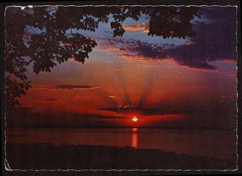[Bodensee] : [Sonnenuntergang am See ...]