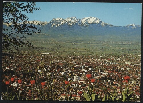 [Dornbirn] : [Gartenstadt Dornbirn mit dem Rheintal und Schweizer Bergen, Vorarlberg, Austria ...]