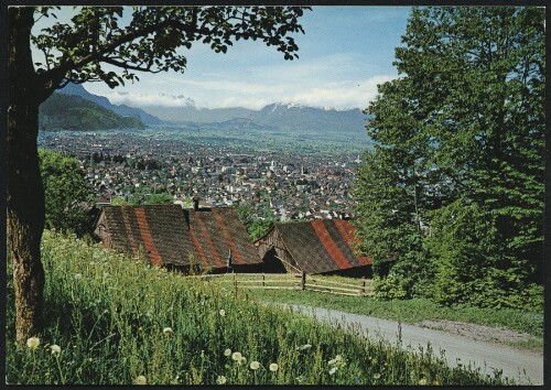 [Dornbirn] : [Gartenstadt Dornbirn Blick gegen Schweizerberge ...]