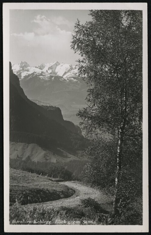 Dornbirn-Kehlegg. Blick gegen Säntis : [Dornbirn (Kehlegg) Blick gegen Säntis ...]