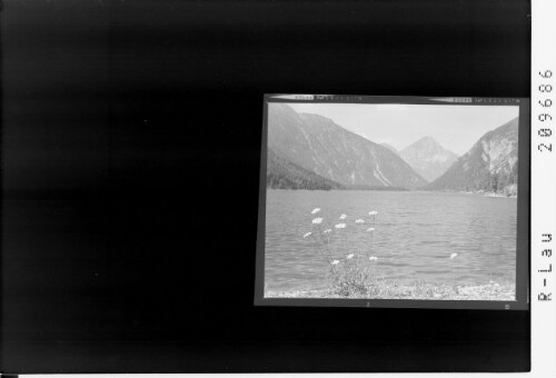 [Plansee mit Blick zum Thaneller / Tirol]