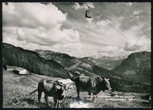 Bezau, Sonderdach - Alpe mit Seilbahn Baumgartenhöhe, 1630 m