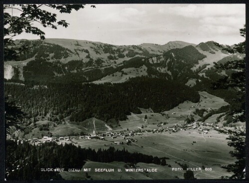 Blick auf Bizau mit Seefluh u. Winterstaude