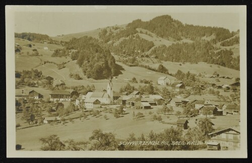 Schwarzenberg, Breg.-Wald
