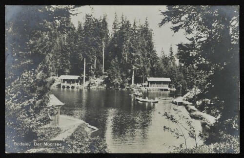 [Schwarzenberg] Bödele : Der Moorsee : [Alpenhotel Bödele, Klim. Höhen-Luftkurort u. Wintersportplatz Bödele 1140 bis 1467 m ü. M. bei Dornbirn ...]