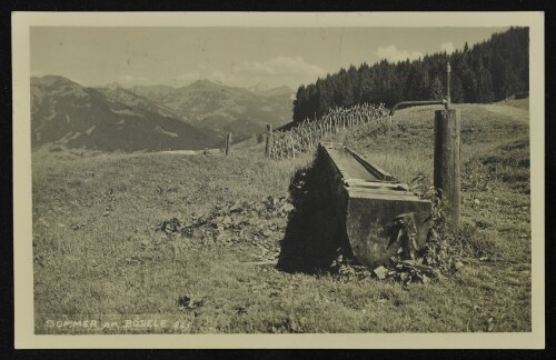 [Schwarzenberg] Sommer am Bödele