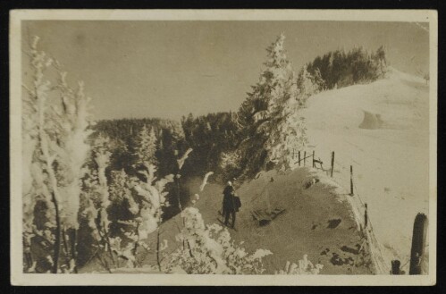 [Schwarzenberg] : [Winterpracht am Wege zum Hochälpele (Vorarlberg) ...]