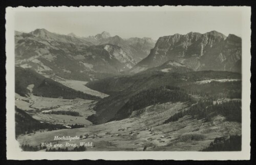 [Schwarzenberg] Hochälpele : Blick geg. Breg. Wald