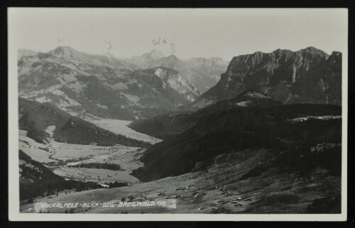 [Schwarzenberg] Hochälpele - Blick geg. Breg. Wald