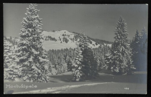 [Schwarzenberg] Hochälpele