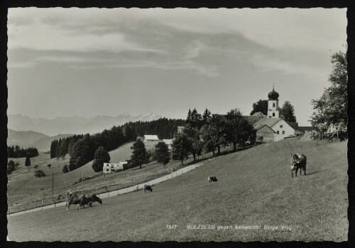 Sulzberg gegen Schweizer Berge Vlbg.