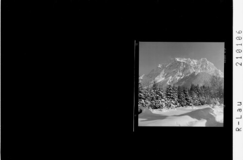 Winterwald gegen Zugspitze : [Winterwald bei Ehrwald mit Blick zum Wetterstein Gebirge]