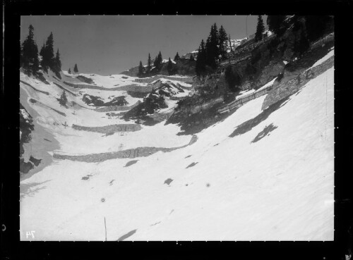 [Aufnahme von den Schneerückhaltemauern (Nr. 28, 16, 31, 30, 23, 19) und Schneerechen (alte Bauweise) im Längentobel oberhalb von Langen am Arlberg]