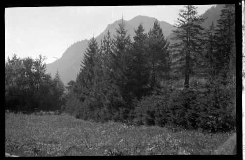 [Aufnahme an der Strecke zwischen Wald am Arlberg und Dalaas im km 116,9]