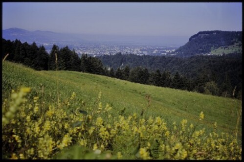 [Buch, Blick von Siegerhalden zum Bodensee]