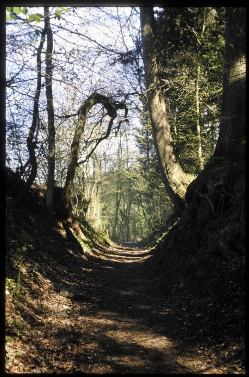 [Wolfurt, Alte Bucherstraße]