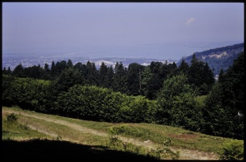 [Bildstein, Höhenweg bei Bereuter]