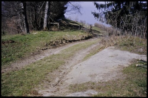 [Bildstein, Höhenweg bei Bereuter]