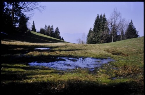 [Bildstein, zwischen Oberbildstein und Vockenbühl]