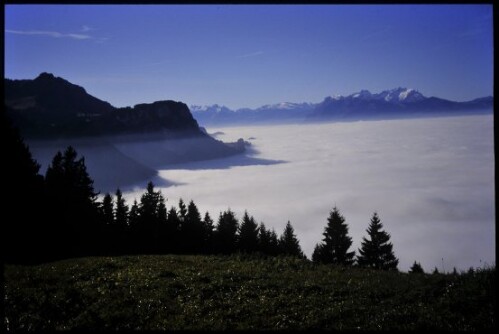 [Dornbirn , Blick von Schwendealpe]