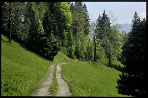 [Dornbirn, Spätenbachalpe]