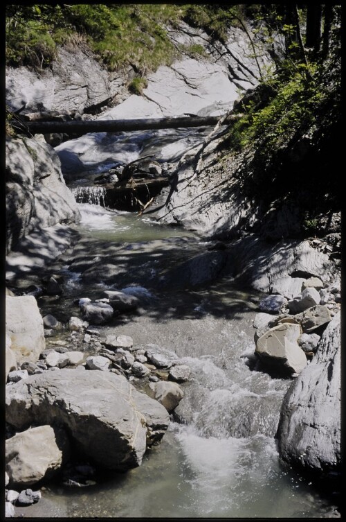 [Dornbirn, Kobelach]