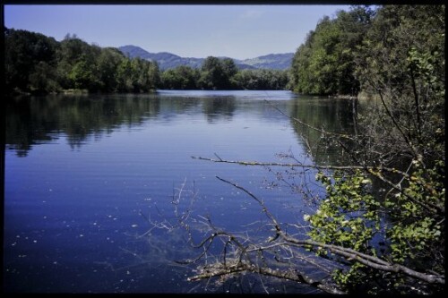 [Lustenau, Alter Rhein zw. Wiesenrain und Schmitter]