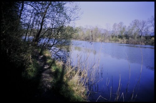 [Altach, Alter Rhein]